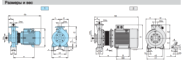 Размеры насосов Calpeda серии NM