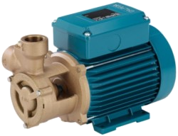 Вихревой насос Calpeda B-T 61E